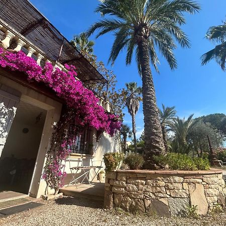 Les Palmiers Apartment Fréjus Exterior foto