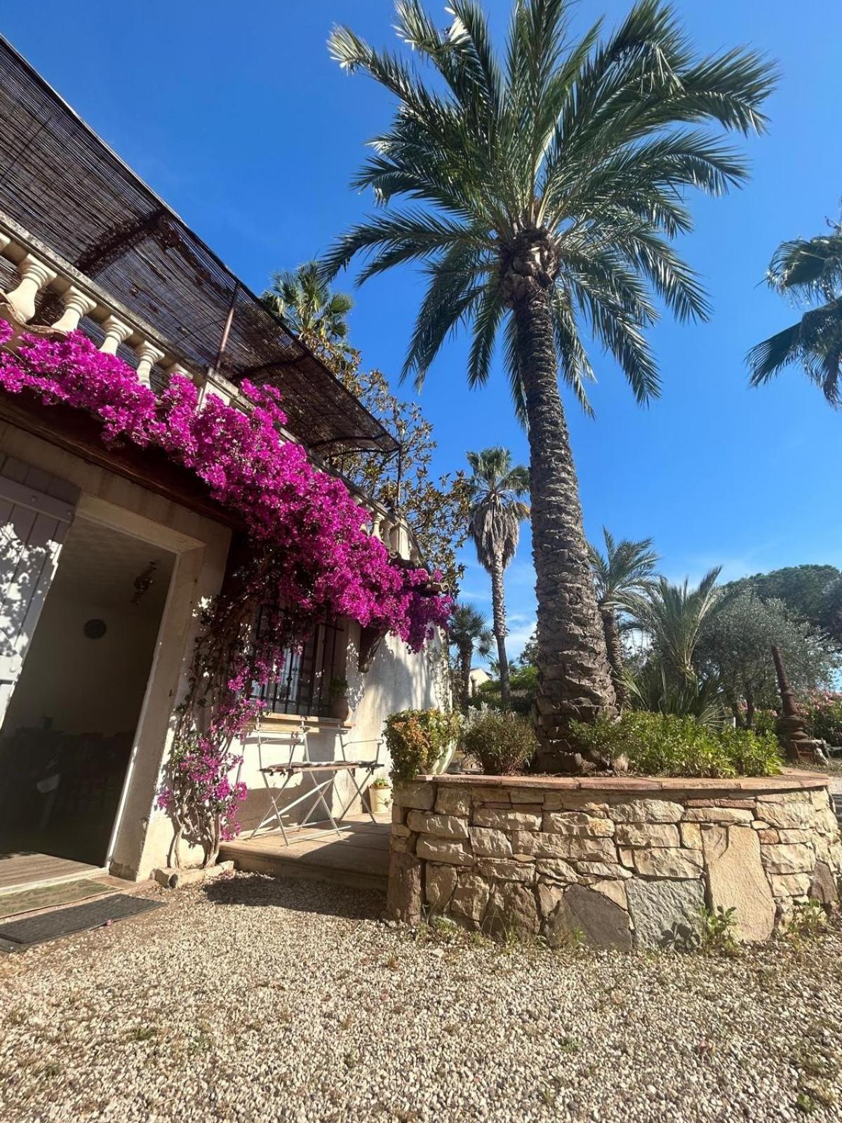 Les Palmiers Apartment Fréjus Exterior foto
